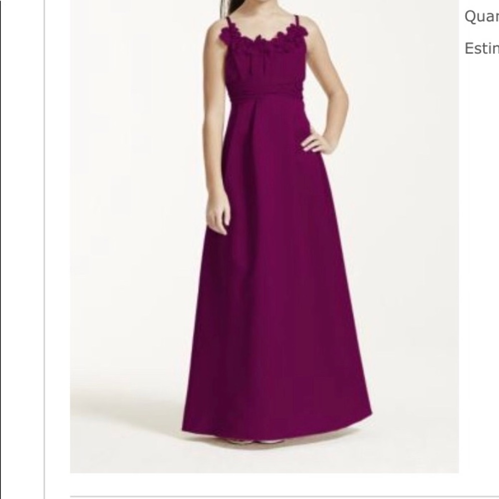David’s Bridal Girls Dress